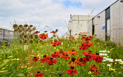 The One sustainability biodiversity