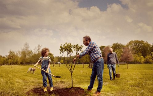 Key Visual Circular Tree