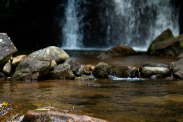 Wasser