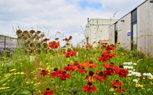 The One sustainability biodiversity